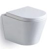 Argent Vista Hygienicflush Wall Hung Toilet Inclusive of Pan and Seat Only 8991001S4B