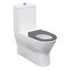 Fienza Delta Care Back-to-Wall Toilet Suite, Gloss White with Grey Seat K013G
