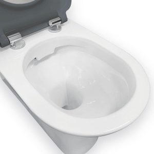 Fienza Delta Care Back-to-Wall Toilet Suite, Gloss White with Grey Seat K013G_IMG3