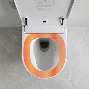Argent Evo Wall Faced Smart Toilet System AF42IN38WB_IMG5